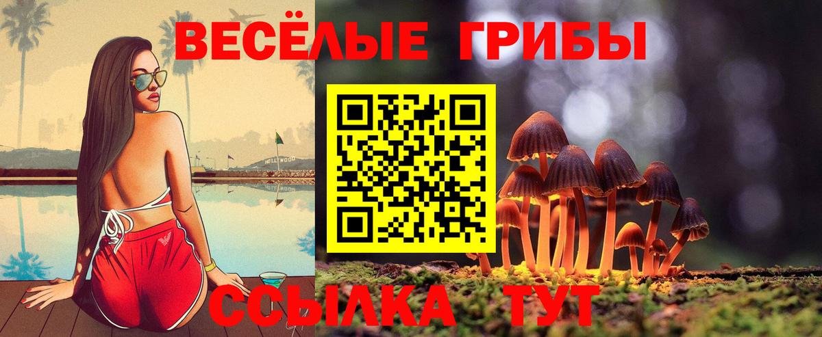 Рыбинск  Псилоцибиновые грибы Psilocybe  Вход с VPN 