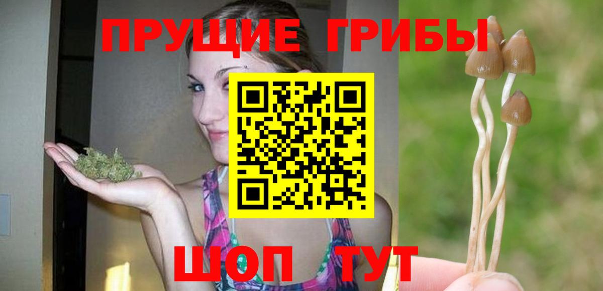 Галлюциногенные грибы прущие грибы Рыбинск